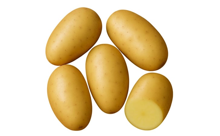 TELMAN TELMAN