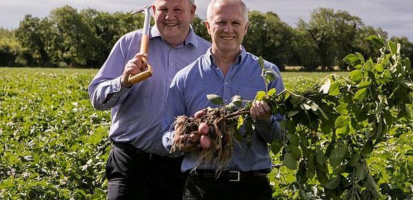 Tesco Ireland Unveils Home-Recyclable Potato Packaging