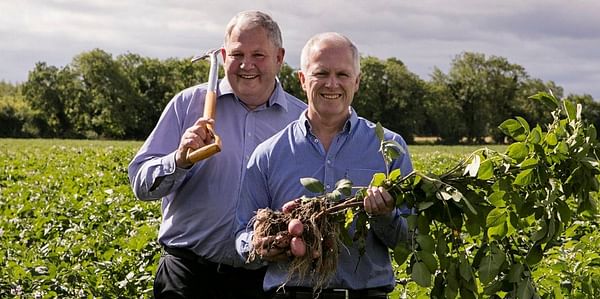 Tesco Ireland Unveils Home-Recyclable Potato Packaging