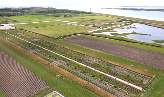 Test plots Salt Farm Texel Test plots Salt Farm Texel