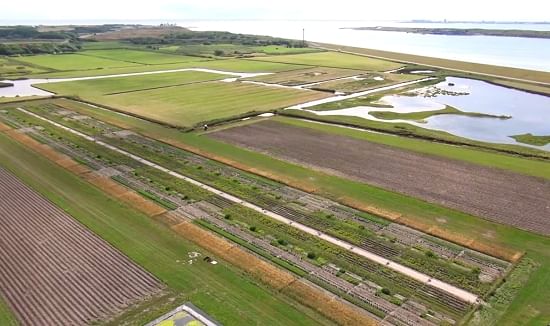 Test plots Salt Farm Texel