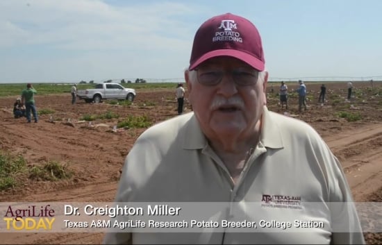 Dr. Creighton Miller, AgriLife Research potato breeder in College Station on the Texas A&M Potato Breeding Program
Dr. Creighton Miller, AgriLife Research potato breeder in College Station on the Texas A&M Potato Breeding Program