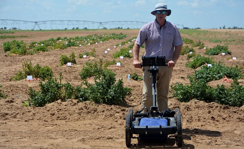 Dirk Hays,Texas A&M AgriLife Research plant geneticist: “With Ground Penetrating Radar (GPR), we can image the size of the tubers and get a correlation to the actual physical size of the potato without harvesting them. [...] We can get an almost one-to-