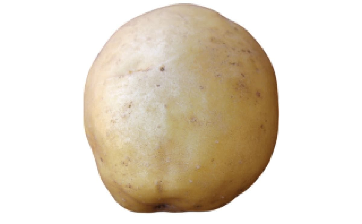 THANDIZO
