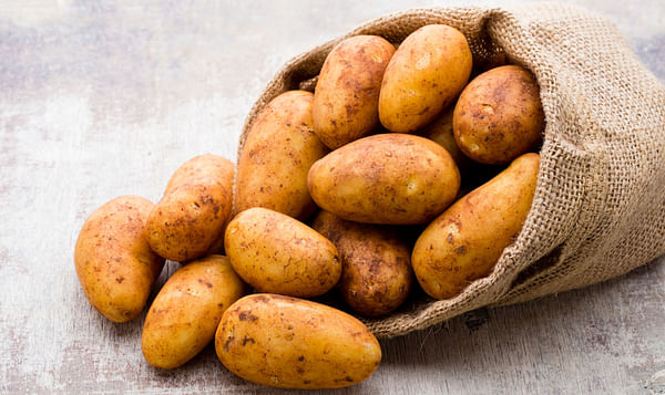 The benefits of potato ingredients in pet food.