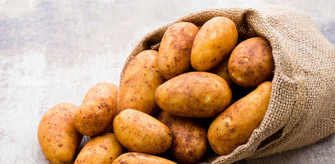 The benefits of potato ingredients in pet food.