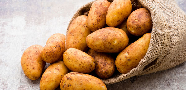 The benefits of potato ingredients in pet food.