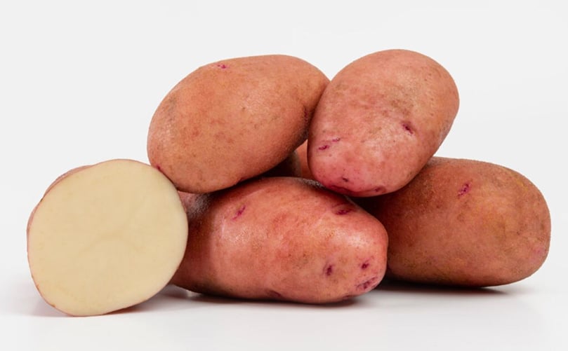 The Crop 78 potato is proving increasingly popular with processors and quick-service restaurants serving fries