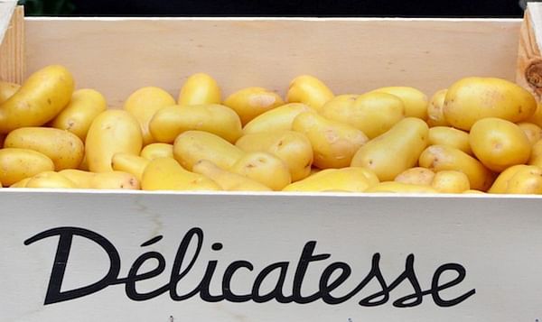 The Delicatesse potato has acquired national fame in no time