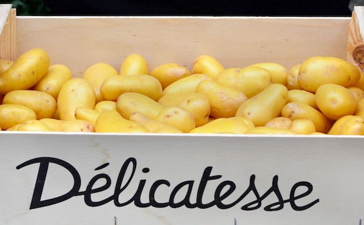 The Delicatesse potato has acquired national fame in no time