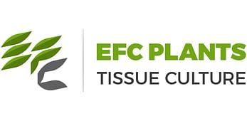The Egyptian French Company for Plants Tissue Culture