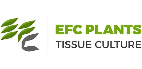 The Egyptian French Company for Plants Tissue Culture The Egyptian French Company for Plants Tissue Culture