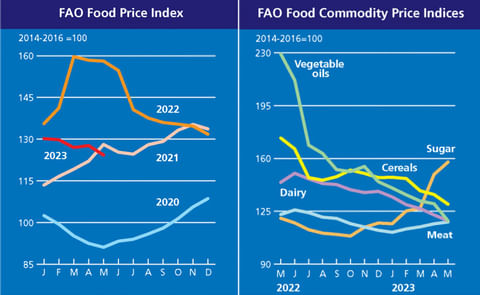The FAO Food Price Index back to its downward trend in May The FAO Food Price Index back to its downward trend in May