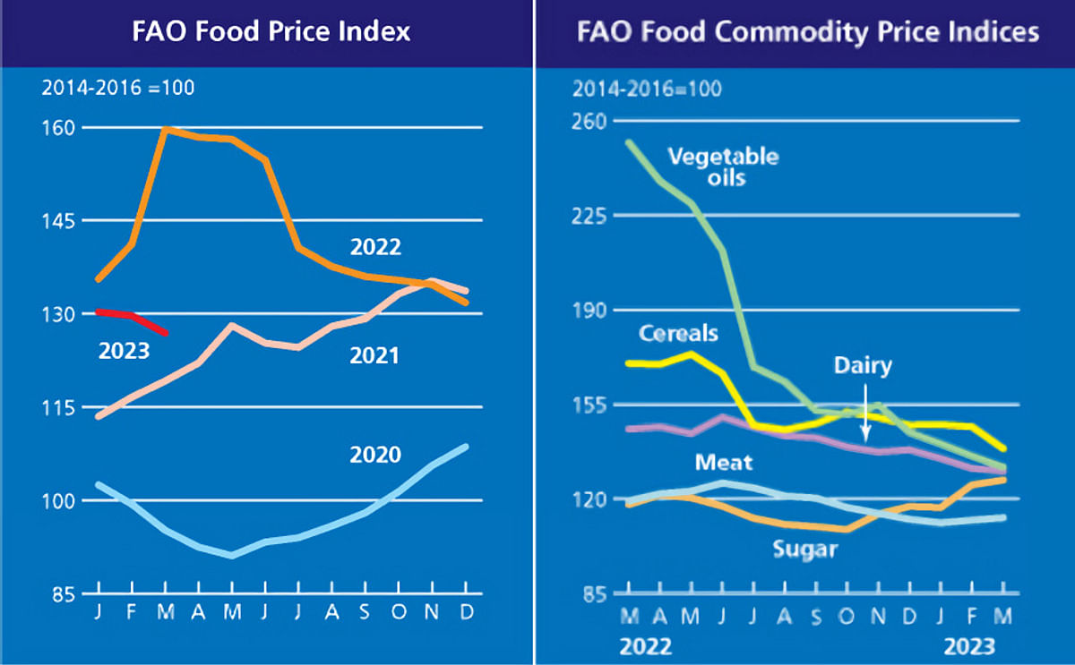 The FAO Food Price Index continues to drop in March 2023