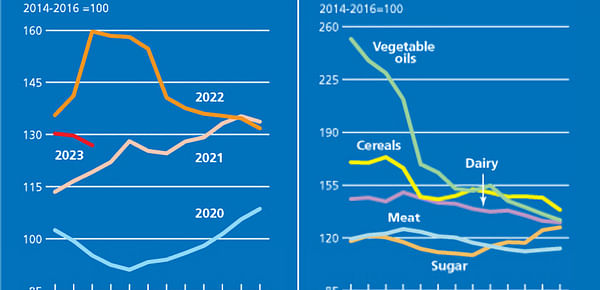 The FAO Food Price Index continues to drop in March 2023