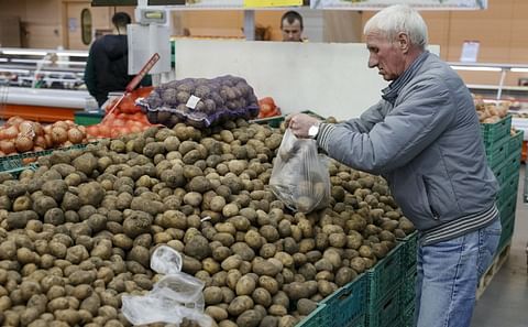 Market Analysis: The impact of Russia’s war on the potato industry of Ukraine