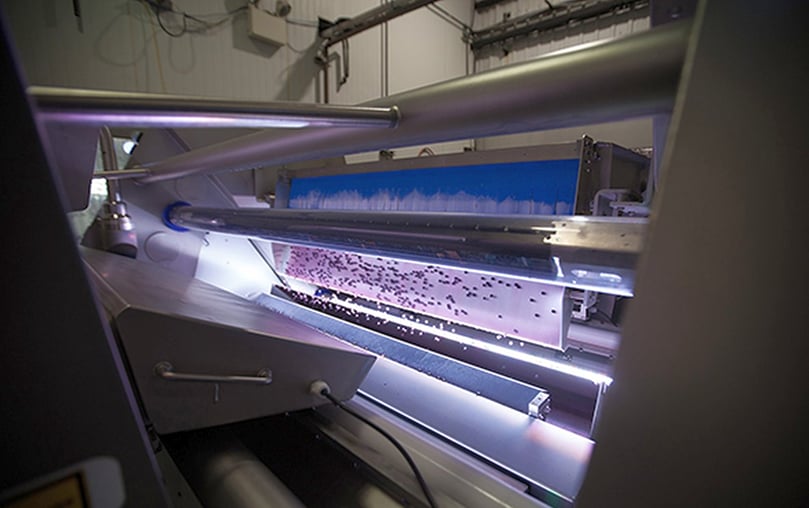 The ease of harnessing large amounts of valuable data on a digital sorter is rapidly improving, and with larger data sets comes the opportunity to cultivate more valuable insights and actionable information. The ease of harnessing large amounts of valuable data on a digital sorter is rapidly improving, and with larger data sets comes the opportunity to cultivate more valuable insights and actionable information.