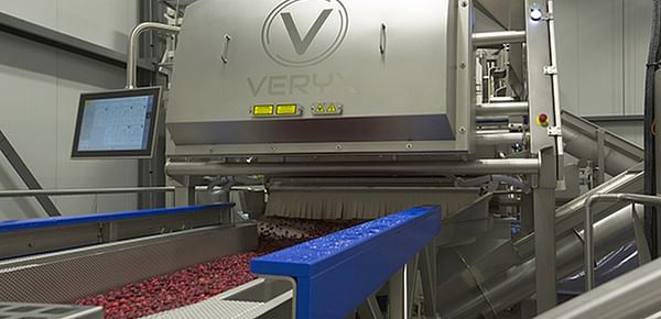 Key Technology: 'The Increasing Role of Digital Sorters'