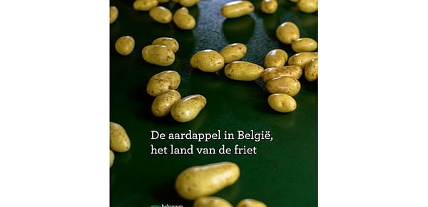 The potato in Belgium, land of fries