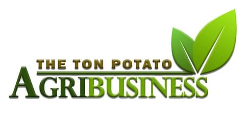 The Ton Potato Agri-Business The Ton Potato Agri-Business
