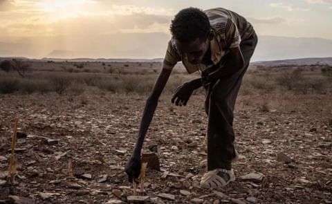 The UN says 40% of the world's land is already unable to sustain crops The UN says 40% of the world's land is already unable to sustain crops
