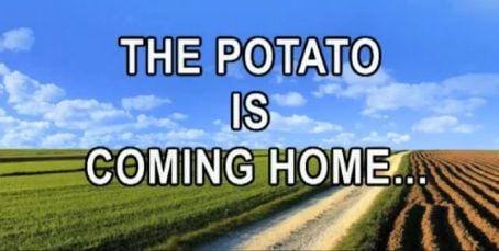 The potato is coming home! The potato is coming home!