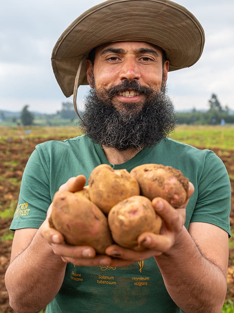 Dr. Thiago Mendes, potato breeder at the International Potato Center (CIP), at Sirikwa Farm in Molo, Nakuru County, Kenya. The Crop Trust's BOLD Project is working with CIP to select potatoes exhibiting late blight resistance. Dr. Thiago Mendes, potato breeder at the International Potato Center (CIP), at Sirikwa Farm in Molo, Nakuru County, Kenya. The Crop Trust's BOLD Project is working with CIP to select potatoes exhibiting late blight resistance.
