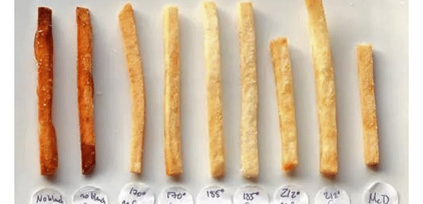 Thin cut French Fries of Kenji Lopez-Alt in Serious Eats