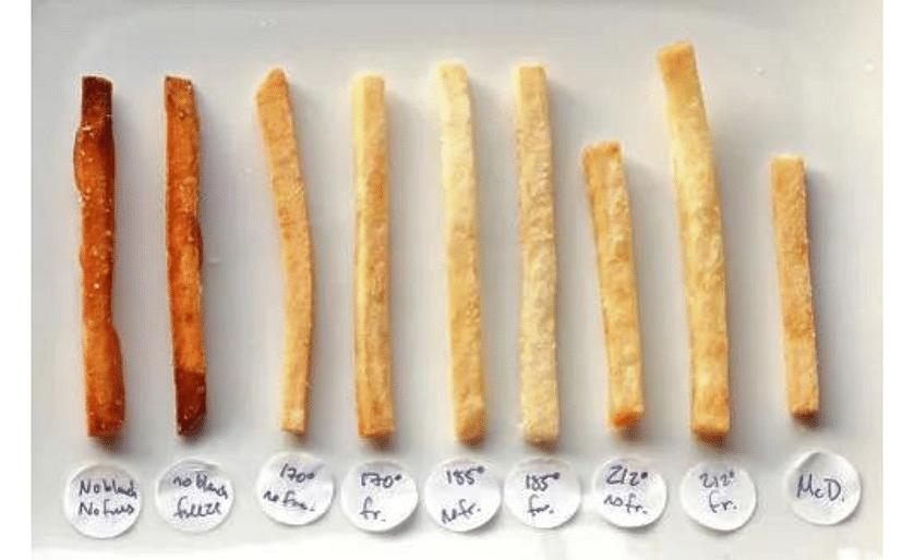 Thin cut French Fries of Kenji Lopez-Alt in Serious Eats