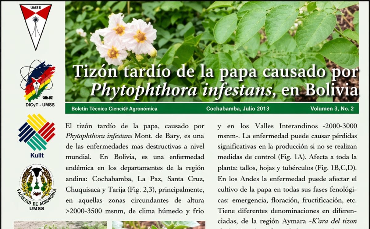 Portada del boletin sobre tizón tardío en Bolivia Portada del boletin sobre tizón tardío en Bolivia