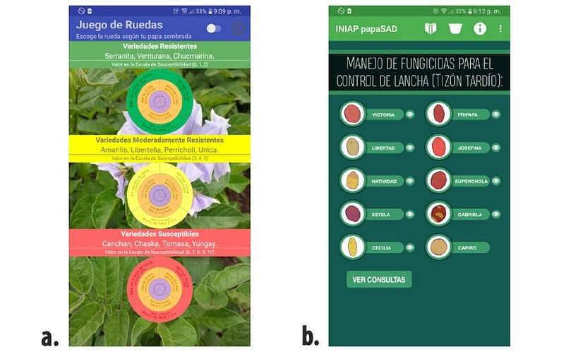 Aplicaciones para celulares que ayudan a los agricultores a manejar el tizón tardío de la papa: a) juego de ruedas y b) INIAP PapaSAD, basados en el juego de ruedas original diseñado en cartón.
Aplicaciones para celulares que ayudan a los agricultores a manejar el tizón tardío de la papa: a) juego de ruedas y b) INIAP PapaSAD, basados en el juego de ruedas original diseñado en cartón.