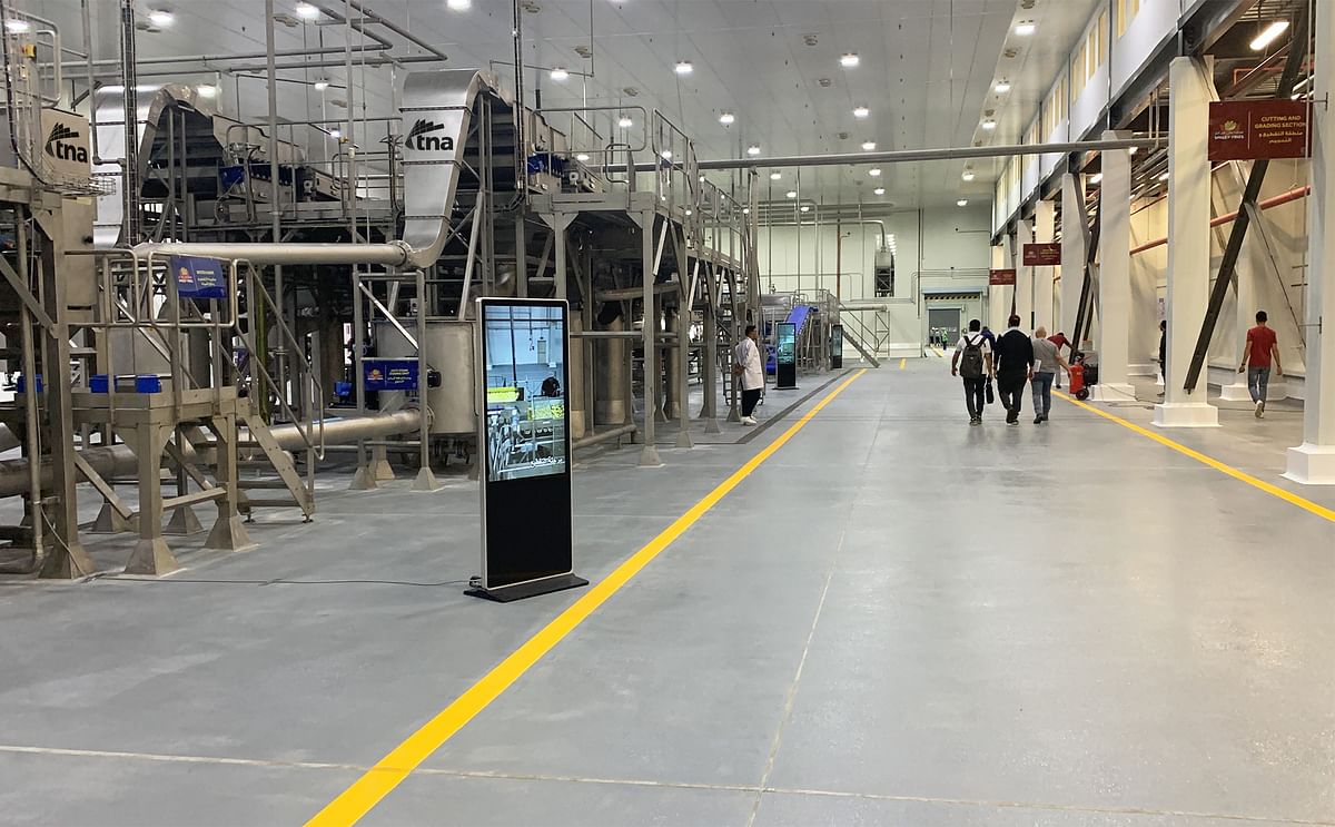 TNA demonstrates project management capabilities, delivering two high-capacity potato lines to Egypt’s premier national organisation NSPO: one for Hash Browns and Rosti, another for French Fries and wedges.