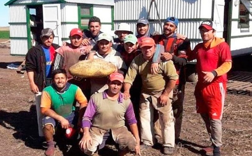 La papa pesó 3 kilos 800 gramos. Gran parte de su interior estaba hueco. (Cortesía: Todo Provincial)