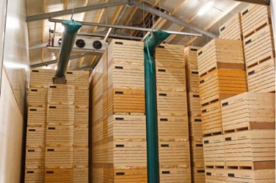 Easily locate and keep track of any box in box storage with Tolsma Track and Trace Easily locate and keep track of any box in box storage with Tolsma Track and Trace