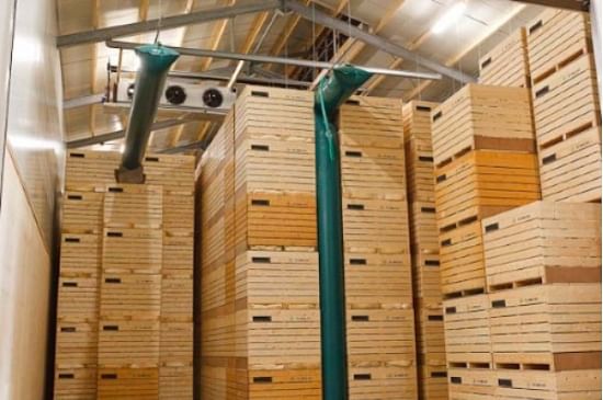Easily locate and keep track of any box in box storage with Tolsma Track and Trace Easily locate and keep track of any box in box storage with Tolsma Track and Trace