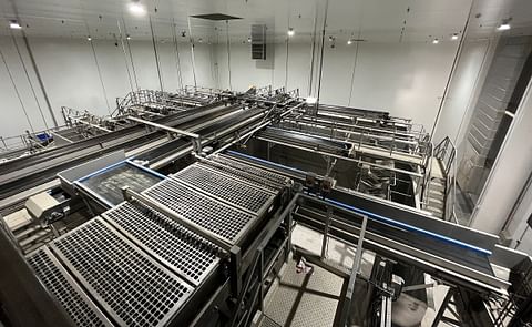 Grisnich receiving, cleaning and sorting plant in China Grisnich receiving, cleaning and sorting plant in China