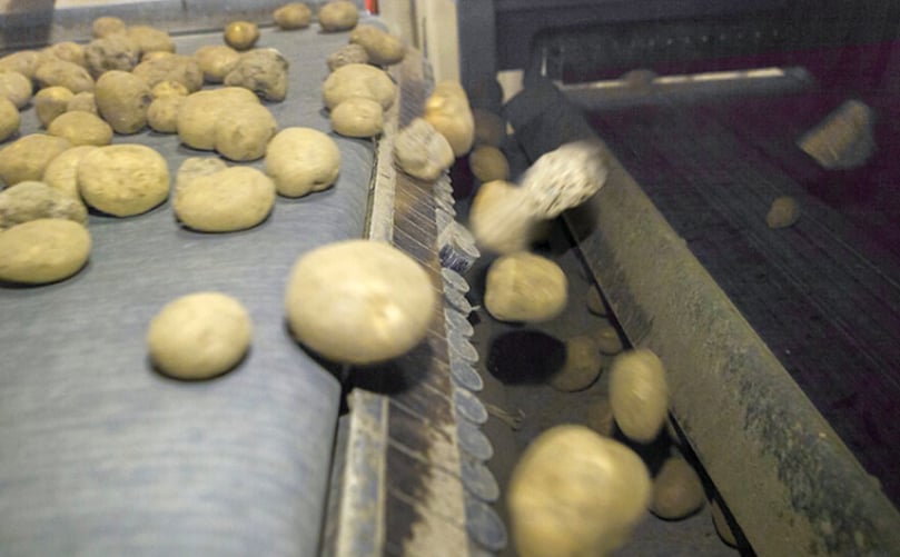 To avoid this storage loss as much as possible, it is essential that the clods are separated from the product, and the Samro clod and stone separator is the ideal machine for this. To avoid this storage loss as much as possible, it is essential that the clods are separated from the product, and the Samro clod and stone separator is the ideal machine for this.