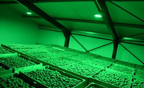 Tolsma-Grisnich LED High bay lighting Tolsma-Grisnich LED High bay lighting