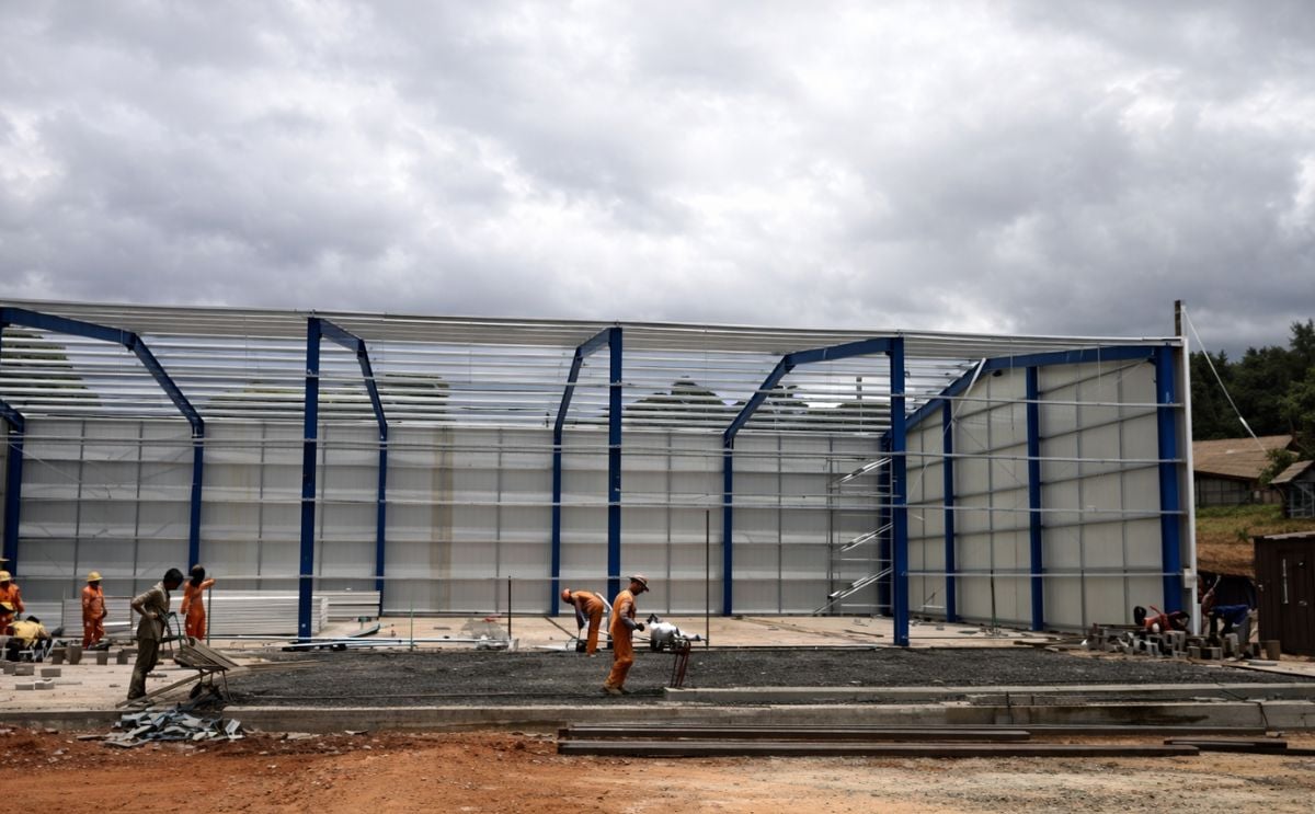 Tolsma grisnich group kisima farm project Tolsma grisnich group kisima farm project