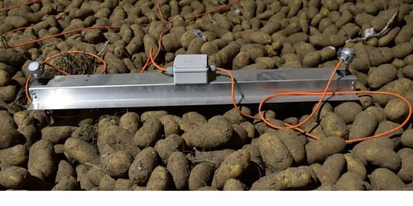 Tolsma - Grisnich Potato Humidity Sensor