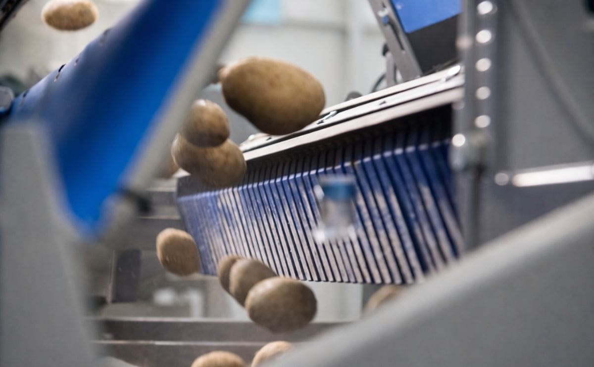 A TOMRA potato sorter in operation.