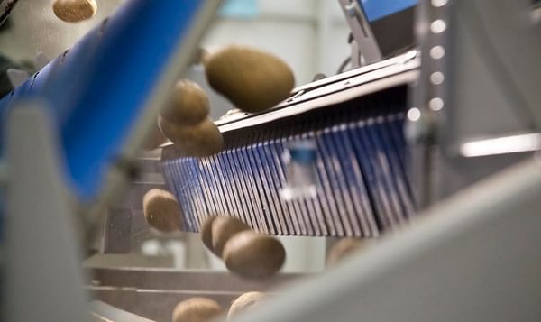 Advancements in automation and robotics are driving improvements in food manufacturing and processing