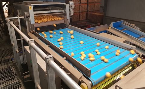 Flandre Pomme de Terre - Sentinel II - processing line
Flandre Pomme de Terre - Sentinel II - processing line