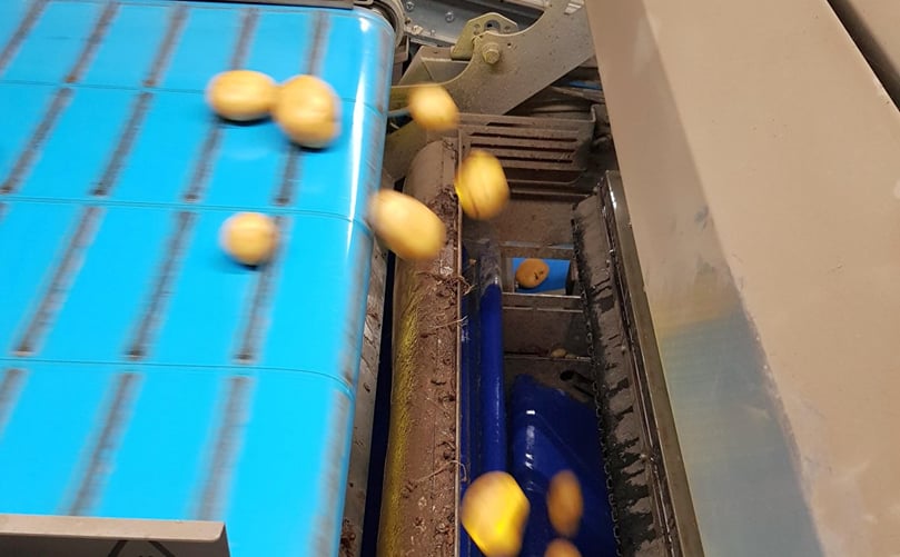 The Sentinel II allows quality inspection of the washed tubers as they fall. The Sentinel II allows quality inspection of the washed tubers as they fall.