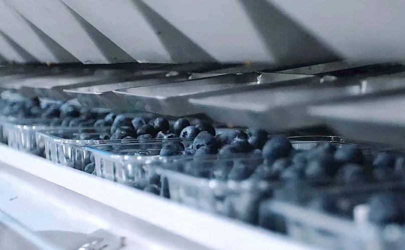 TOMRA Food: Soluciones actuales de calibrado y embalaje. TOMRA Food: Soluciones actuales de calibrado y embalaje.
