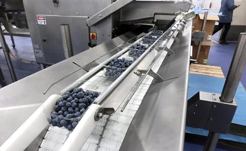 TOMRA Food: Cómo las soluciones actuales de calibrado y embalaje ayudan a las plantas de proceso de arándanos a ser más competitivas. TOMRA Food: Cómo las soluciones actuales de calibrado y embalaje ayudan a las plantas de proceso de arándanos a ser más competitivas.