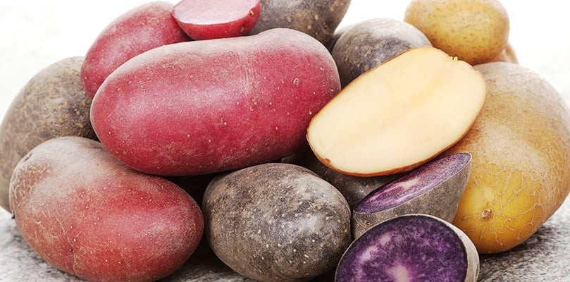 Combining potato varieties in food production. Combining potato varieties in food production.