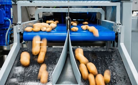 TOMRA's Halo sorter in action sorting potatoes. Visit TOMRA Sorting Food at Booth 1102 in the Mirage Hotel and Casino Convention Center to learn more about the Halo sensor-based optical food sorting machine. TOMRA's Halo sorter in action sorting potatoes. Visit TOMRA Sorting Food at Booth 1102 in the Mirage Hotel and Casino Convention Center to learn more about the Halo sensor-based optical food sorting machine.