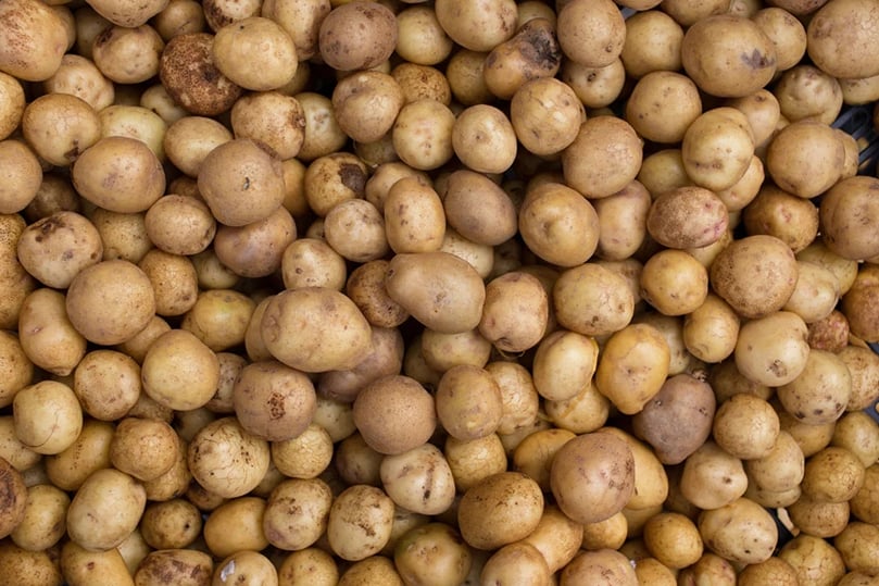 From sticks and stones to plastic bottles and golf balls, potato farmers encounter an ever-increasing spectrum of hazardous foreign material in their fields making effective sorting a critical element of the processing line.