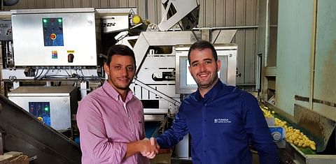 Portuguese potato trader Oliveira Pinho &amp; Filhos improves quality and productivity with the TOMRA Sentinel II